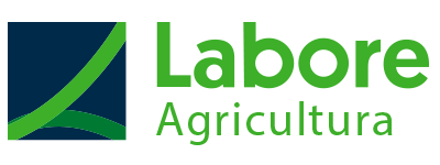 Logo Grupo Labore